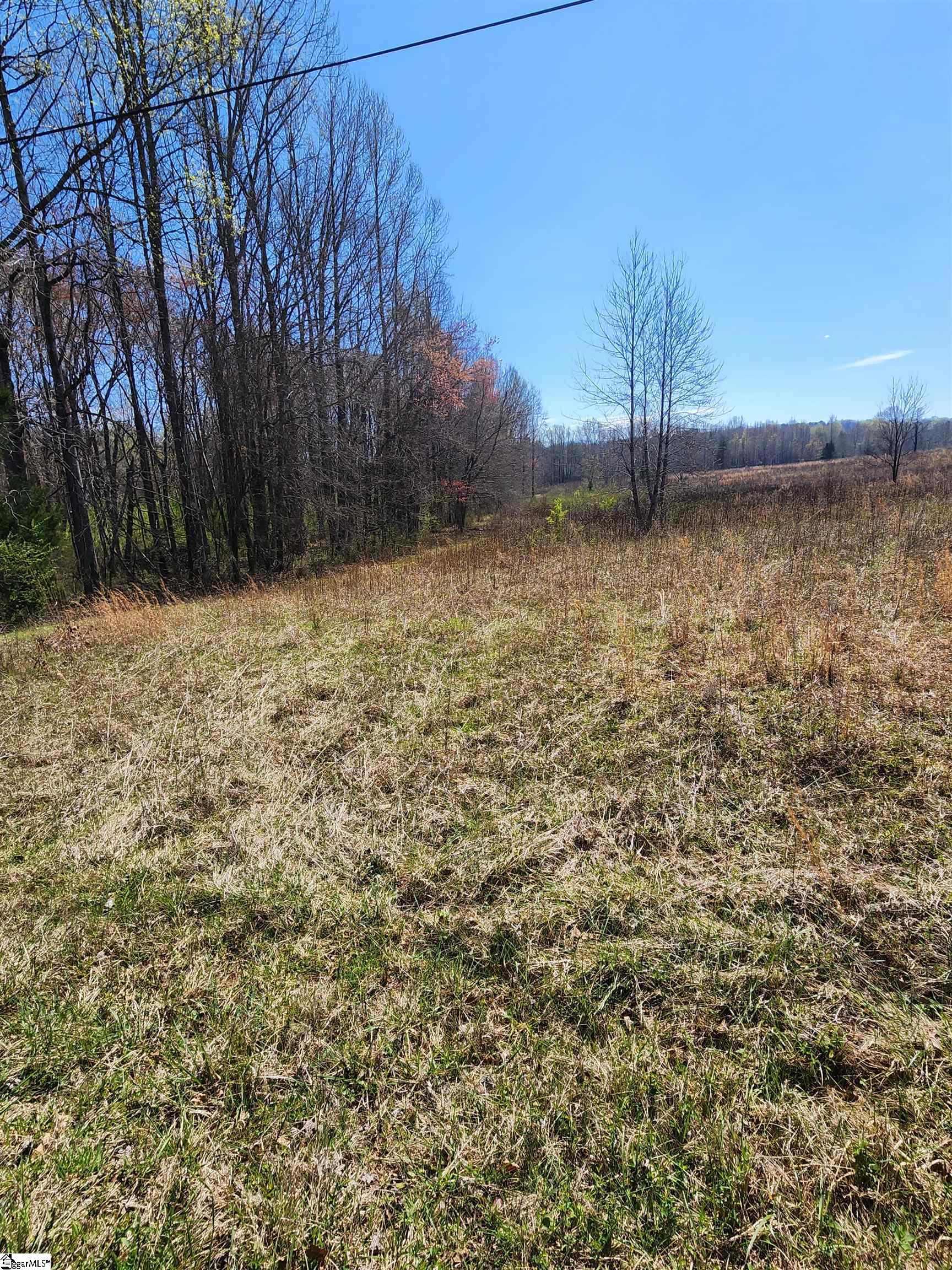 132 East Bowers Road Travelers Rest, SC 29690 - Photo 10 of 10