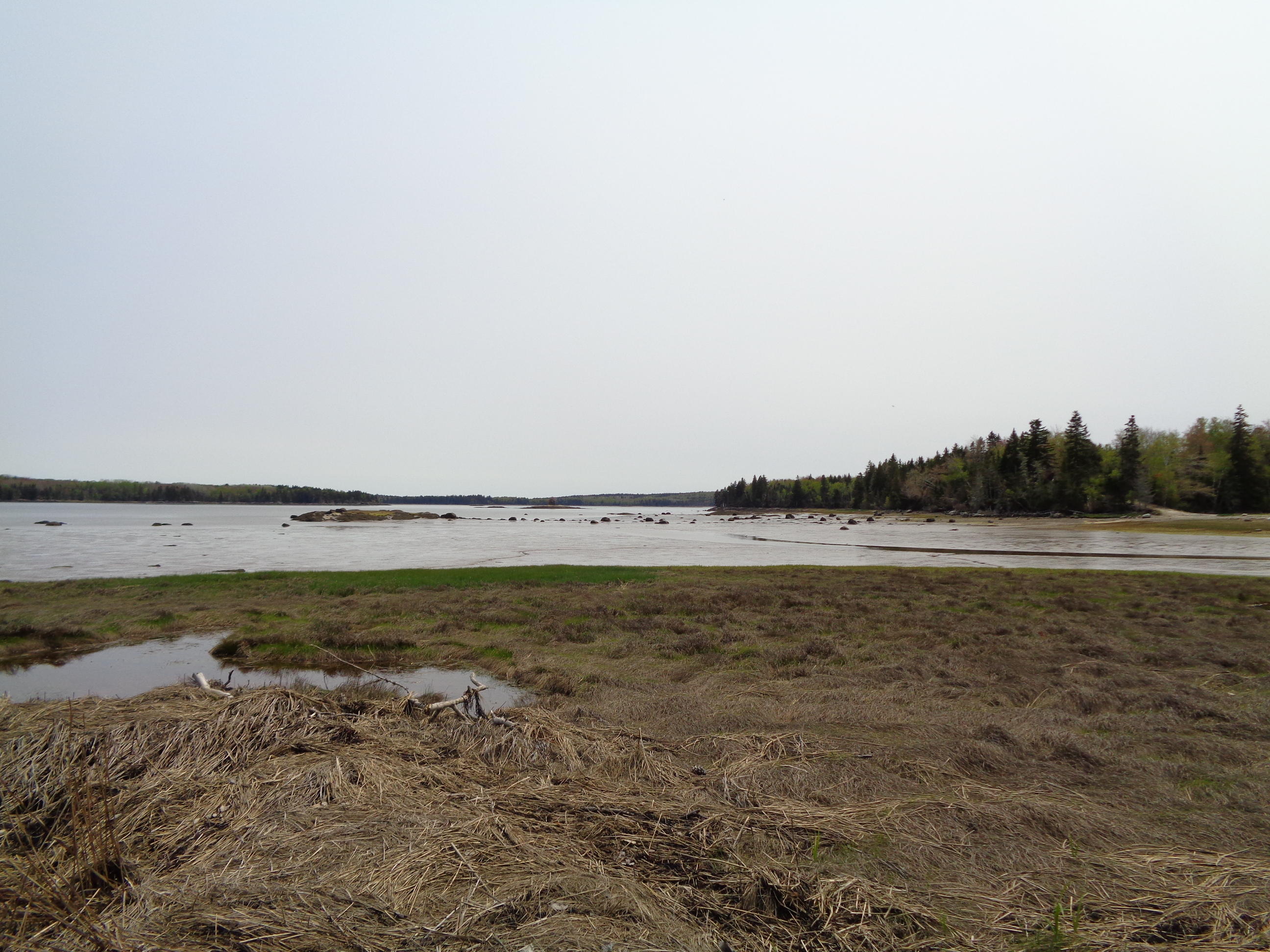 Lot 14-5 Pineo Point Road Harrington, ME 04643 - Photo 12 of 34 DSC03090