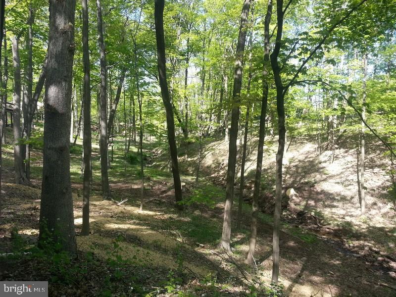 49 Wagner Road Stockton, NJ 08559 - Photo 17 of 61