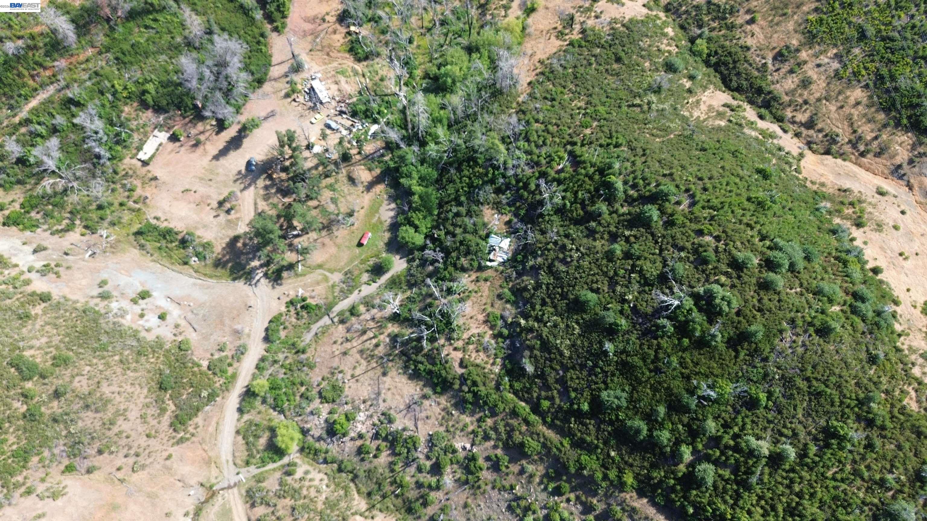 11311 Pine Flat Road Healdsburg, CA 95448 - Photo 21 of 45 a view of a forest with a tree