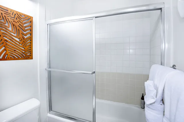 a bathroom with a shower and a toilet