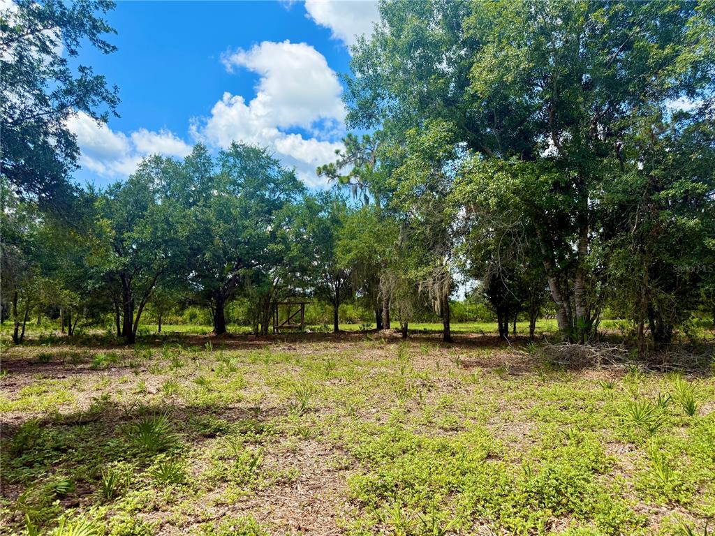 0 Roberts Road Ona, FL 33865 - Photo 35 of 39 Gallery Image 35