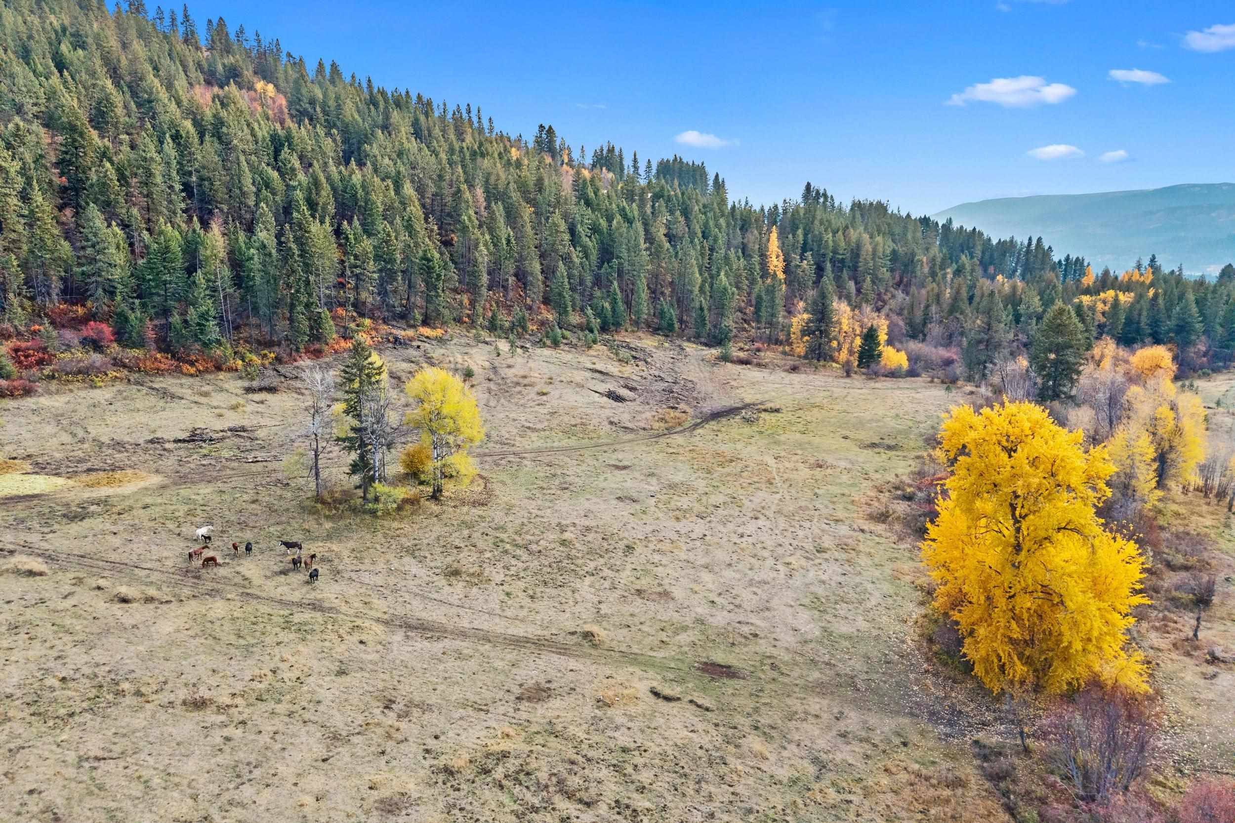 3115 Beardslee Road Kettle Falls, WA 99141 - Photo 35 of 38