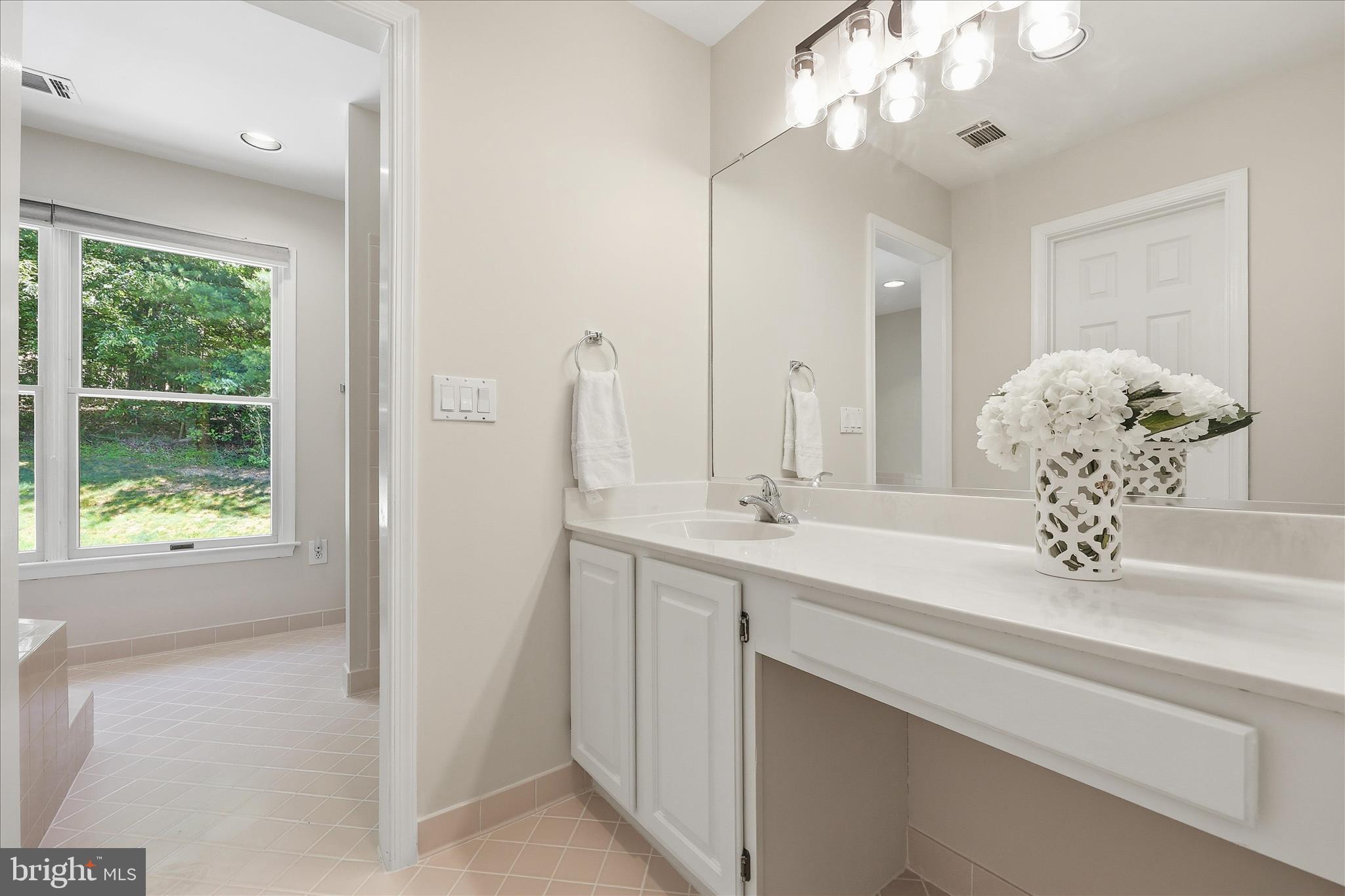 7219 Wilson Road Mount Airy, MD 21771 - Photo 30 of 50 Primary Bathroom