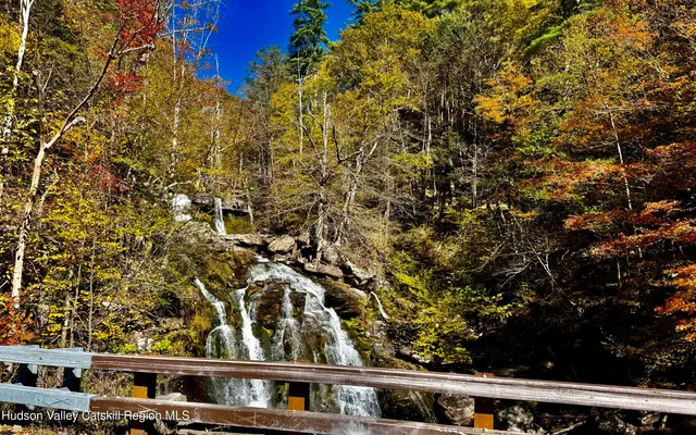 a view of a yard with wooden fence