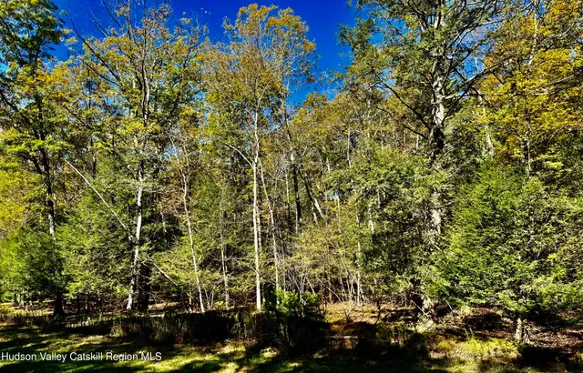 $55,000 | 44 Falling Waters Drive, Palenville, NY 12463