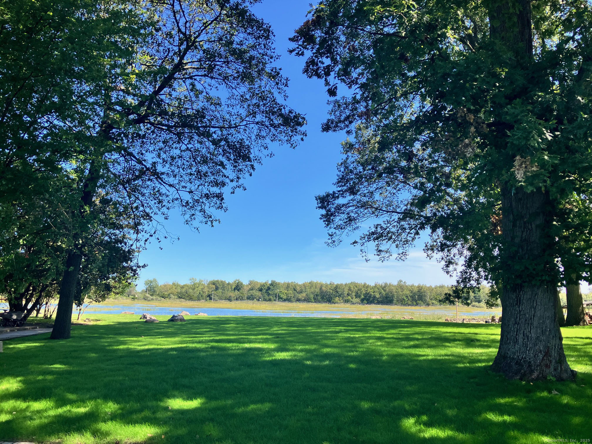 a view of a trees with a yard