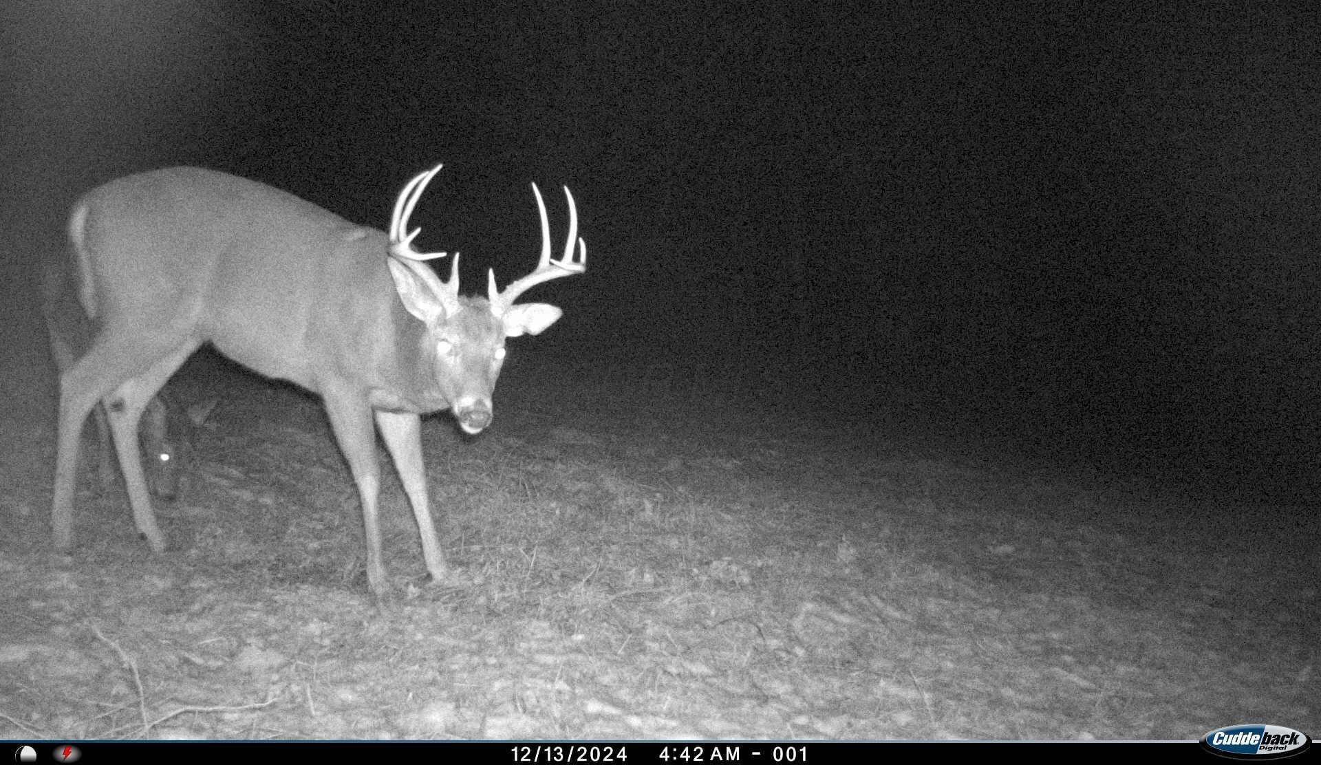 5055 Early Ridge Road McConnelsville, OH 43756 - Photo 38 of 45 I__01587