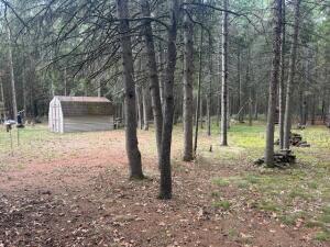 8129 Old State Road Stanwood, MI 49346 - Photo 3 of 20 20251010173611741474000000