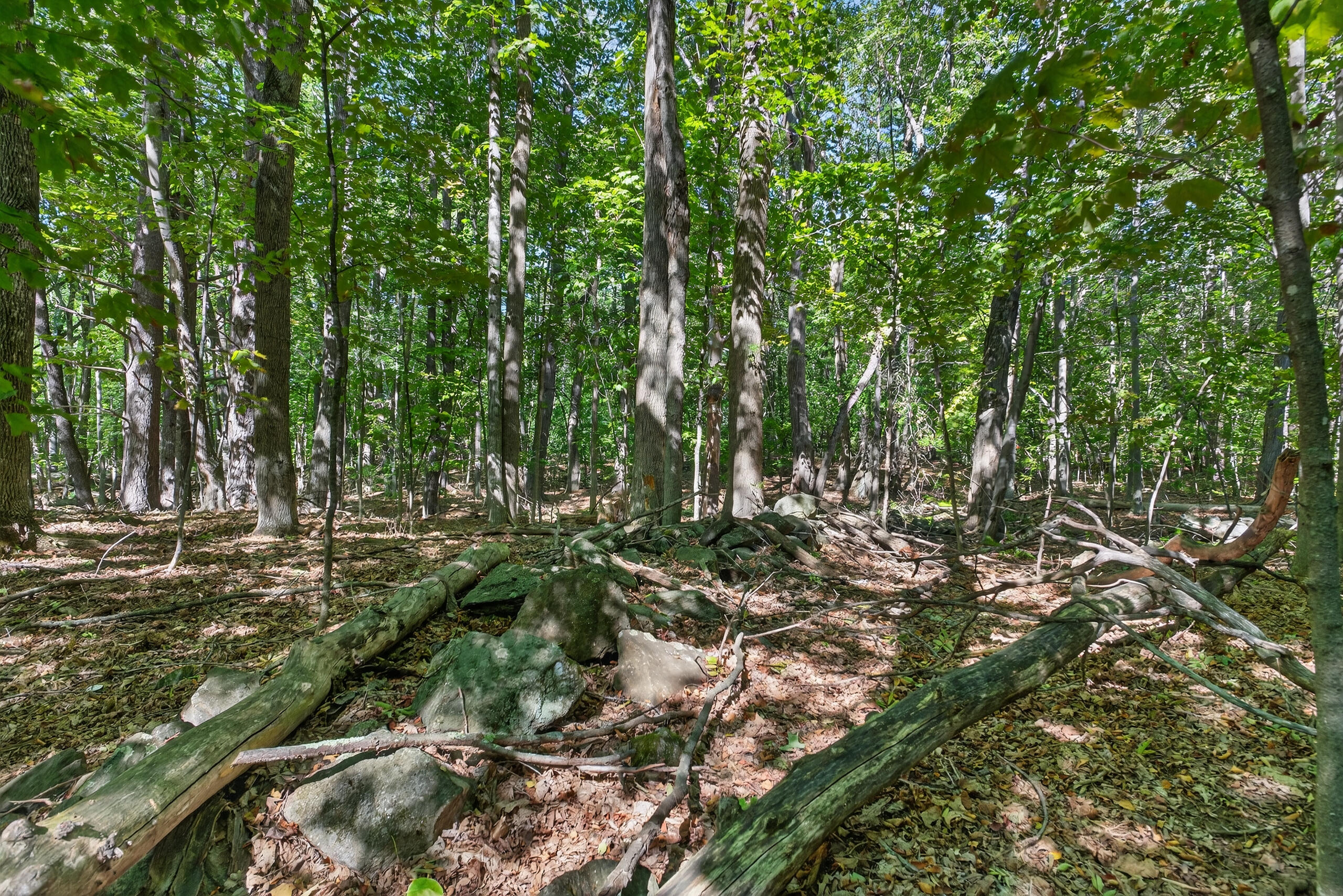 Tbd Elm Street Springvale, ME 04083 - Photo 12 of 25
