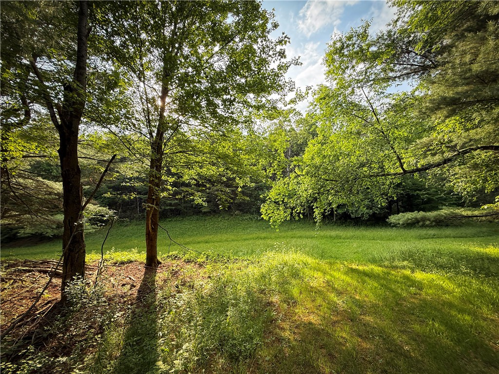 450 Dean Creek Road Spencer, NY 14883 - Photo 35 of 50