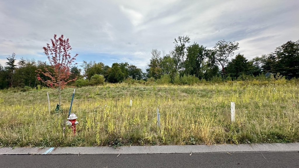 a view of a lake with a big yard