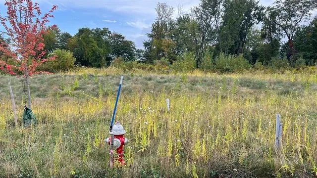 a view of an outdoor space and a lake view in back