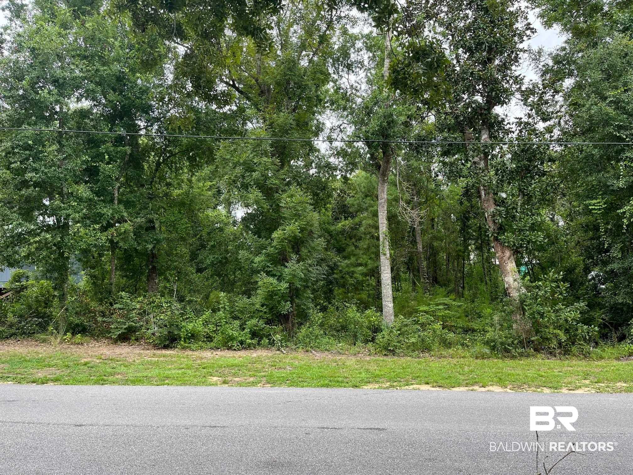 5155 Pine Road Orange Beach, AL 36561 - Photo 7 of 7 Gallery Image 7
