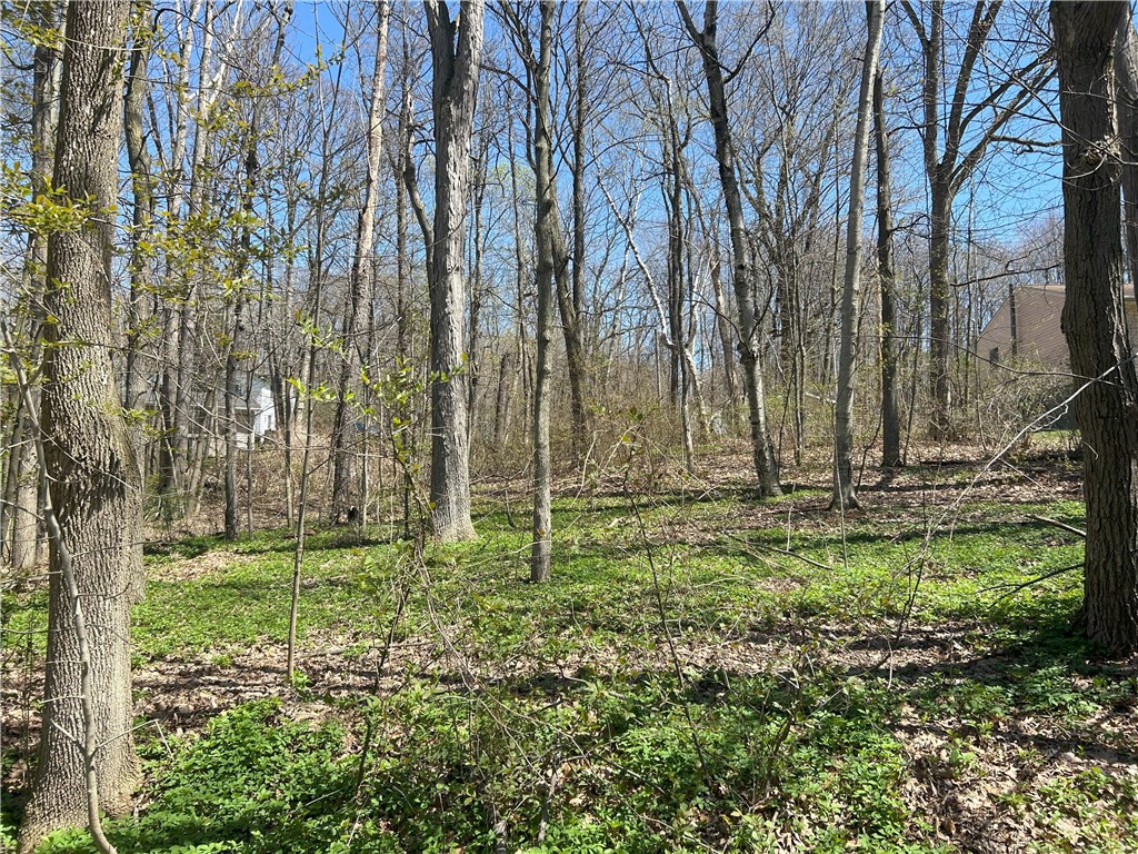 Janes Road Silver Lake, NY 14549 - Photo 3 of 12