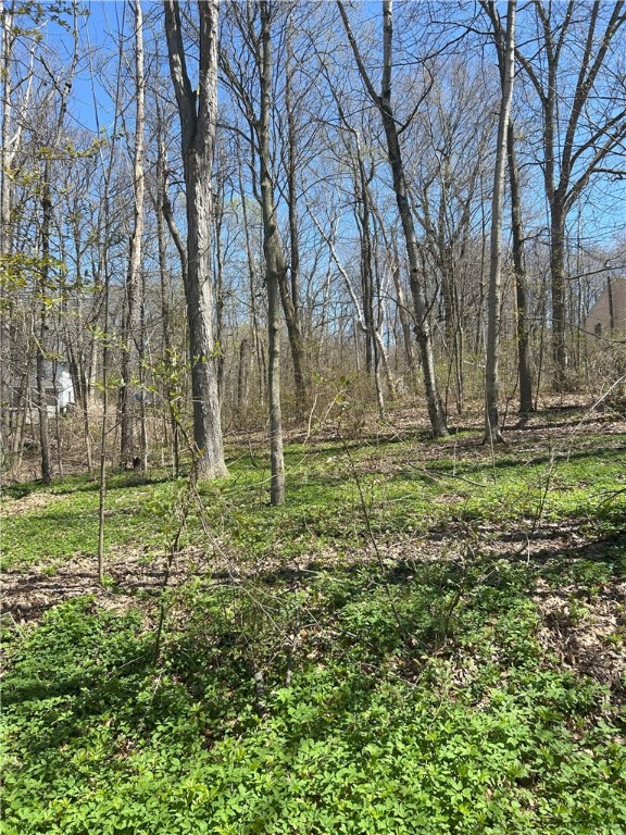 Janes Road Silver Lake, NY 14549 - Photo 4 of 12