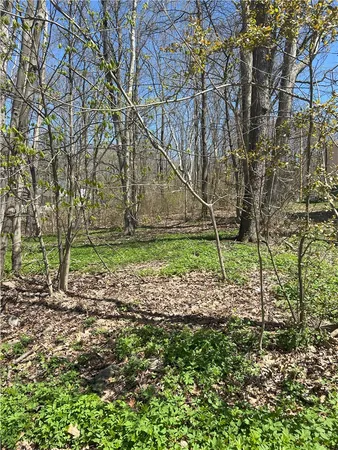 $29,900 | Janes Road, Silver Lake, NY 14549