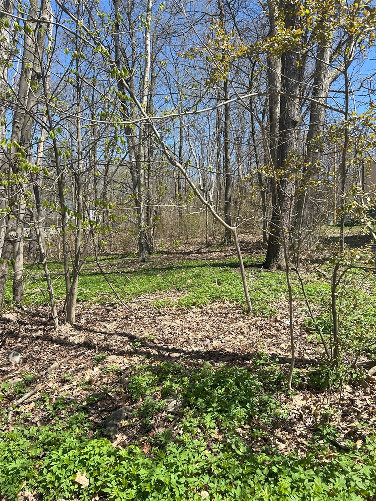 Janes Road Silver Lake, NY 14549 - Photo 5 of 12