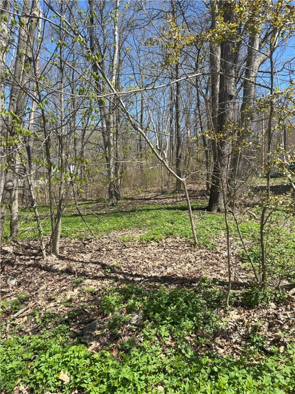 Janes Road Silver Lake, NY 14549 - Photo 5 of 12