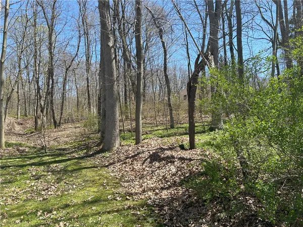 $29,900 | Janes Road, Silver Lake, NY 14549