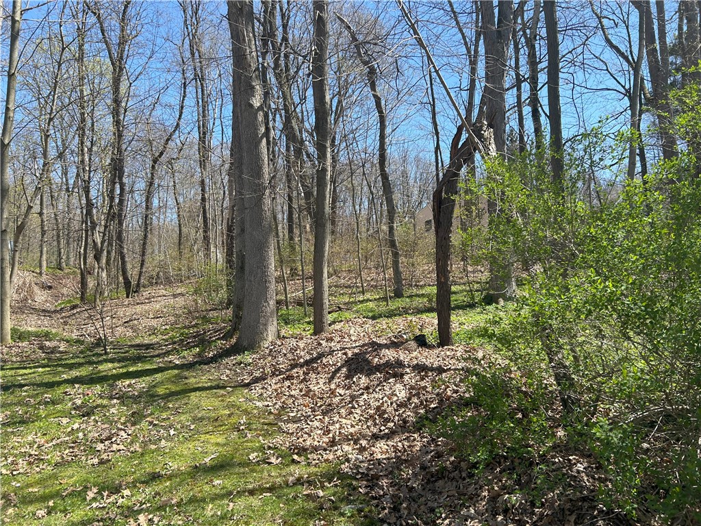 Janes Road Silver Lake, NY 14549 - Photo 6 of 12