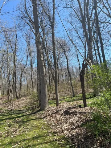 $29,900 | Janes Road, Silver Lake, NY 14549