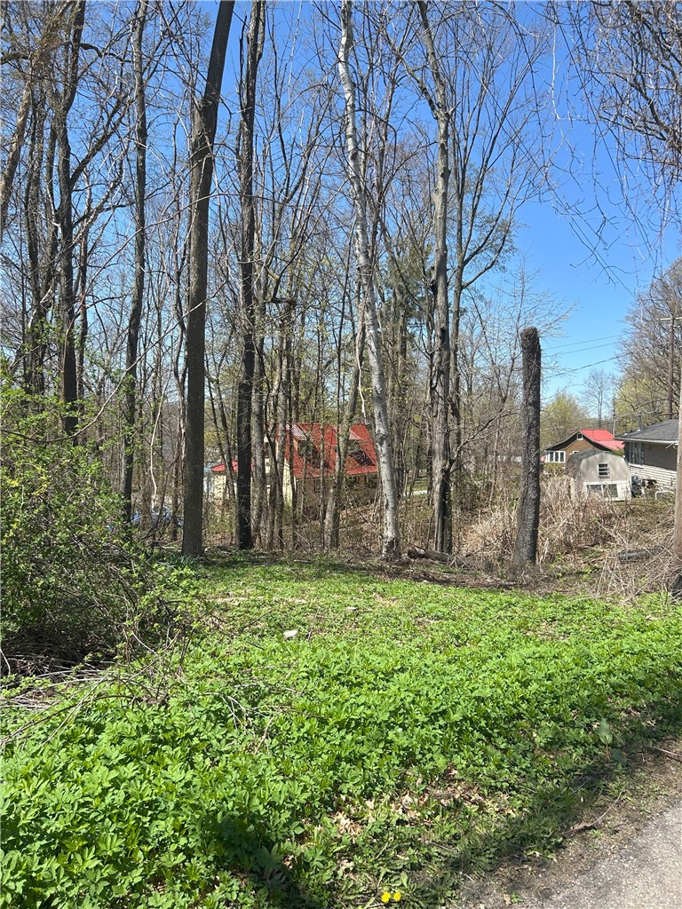 Janes Road Silver Lake, NY 14549 - Photo 9 of 12