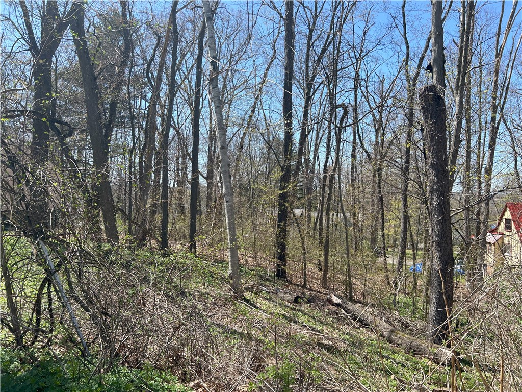 Janes Road Silver Lake, NY 14549 - Photo 10 of 12