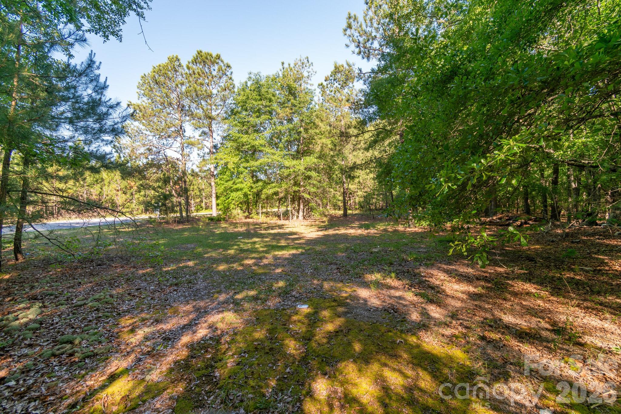 0 Airport Road Pageland, SC 29728 - Photo 17 of 46 Gallery Image 17