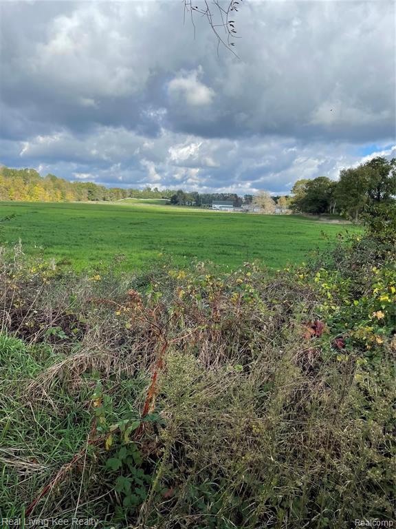 V/l Delano Road Oxford, MI 48371 - Photo 2 of 7