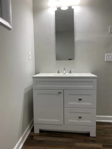 a bathroom with a sink and a mirror