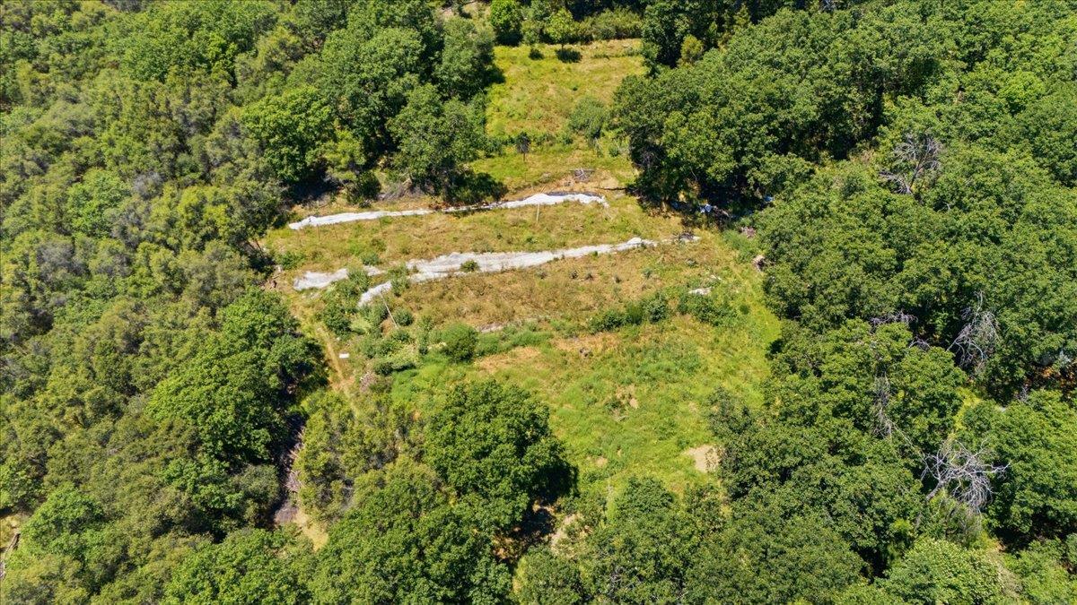 20154 Sky Ridge Place Nevada City, CA 95959 - Photo 3 of 20 a view of a yard with a tree