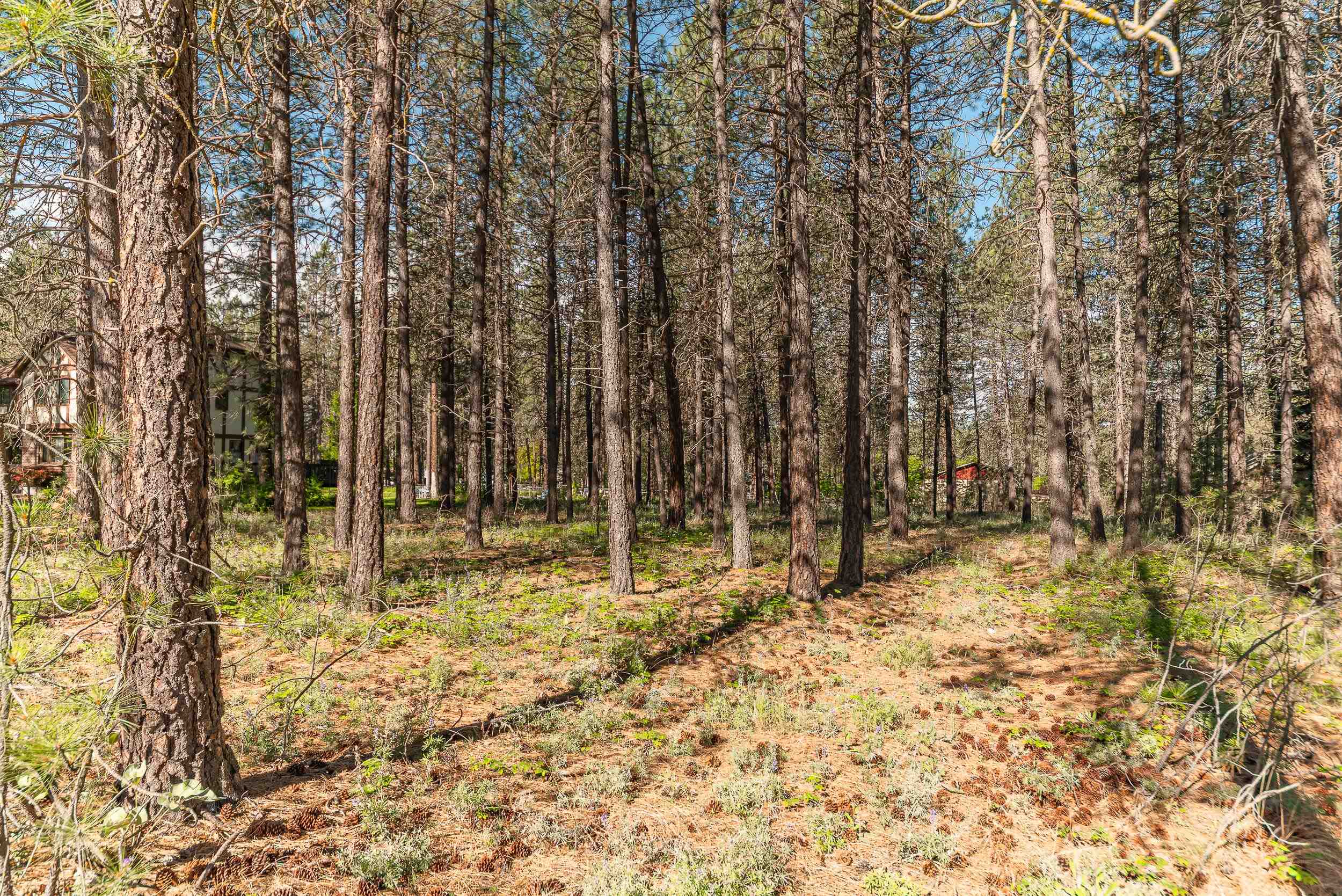 17-xxx North Saddle Hill Road Colbert, WA 99005 - Photo 8 of 11 Gallery Image 8