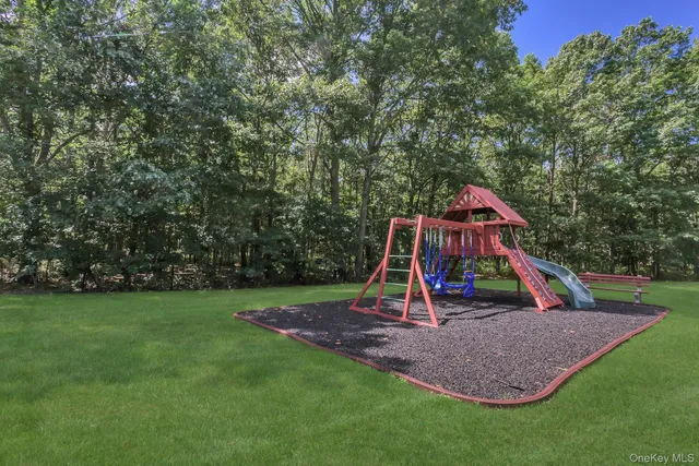a small garden covered with tall trees