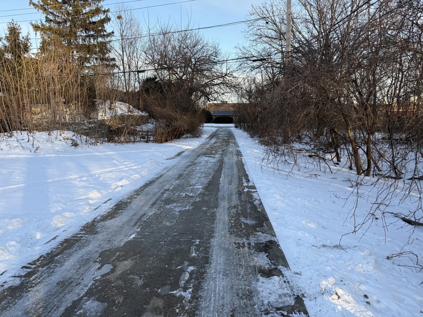 1044 Ellsworth Avenue Addison, IL 60101 - Photo 4 of 45