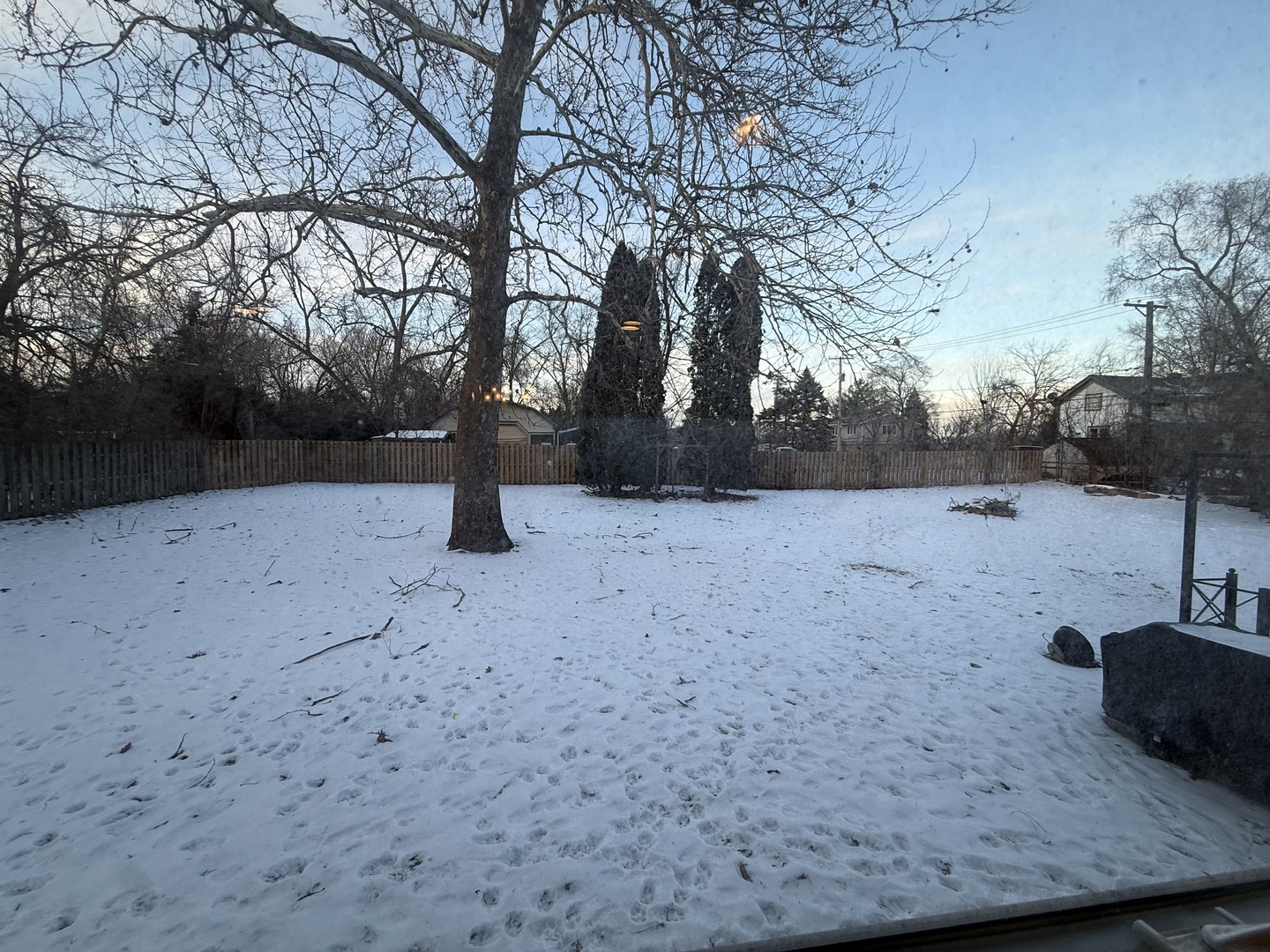 1044 Ellsworth Avenue Addison, IL 60101 - Photo 41 of 45 a backyard of a house with lots of trees