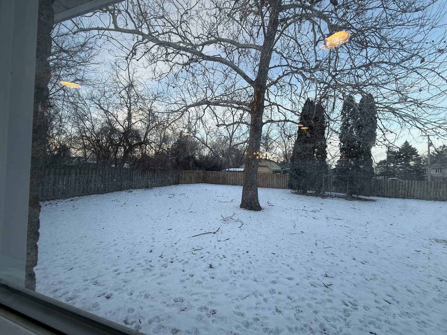 1044 Ellsworth Avenue Addison, IL 60101 - Photo 42 of 45 a backyard of a house with lots of green space