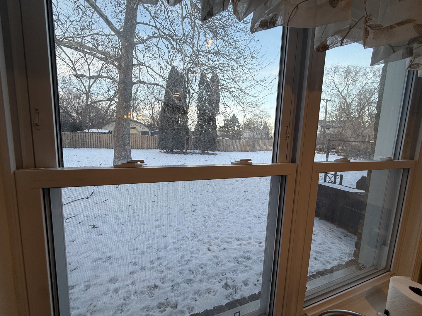 1044 Ellsworth Avenue Addison, IL 60101 - Photo 44 of 45 a view of a floor to ceiling window and a tree