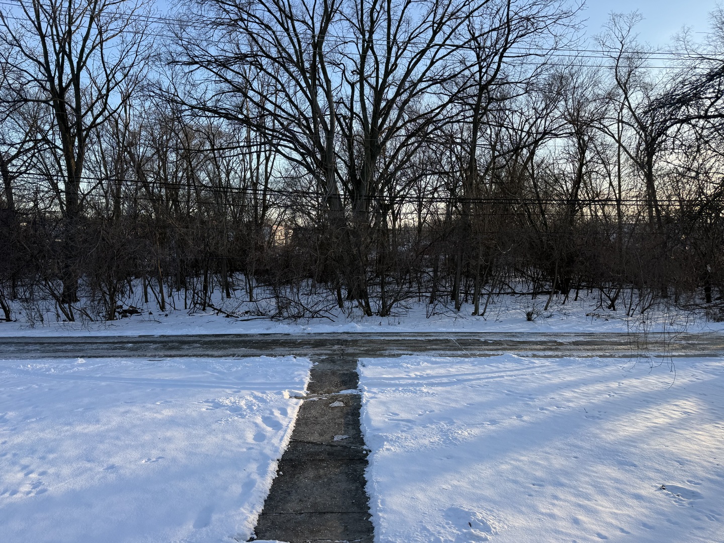 1044 Ellsworth Avenue Addison, IL 60101 - Photo 5 of 45 a view of a yard with large trees