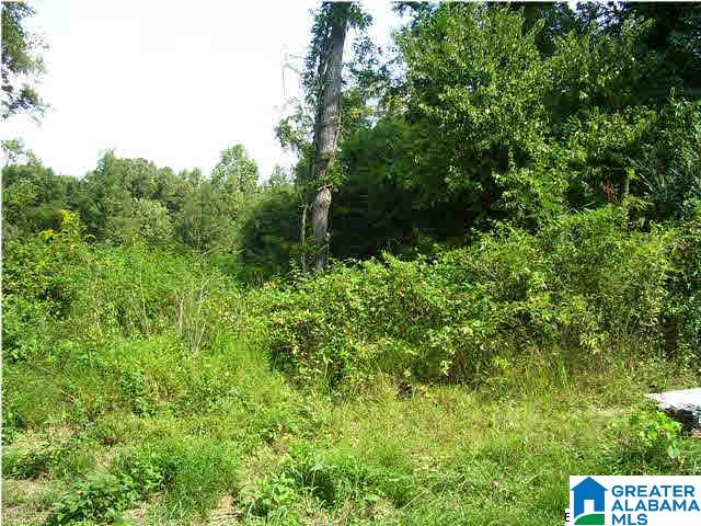 Alabama Avenue, Unit 17 Oneonta, AL 35121 - Photo 1 of 3