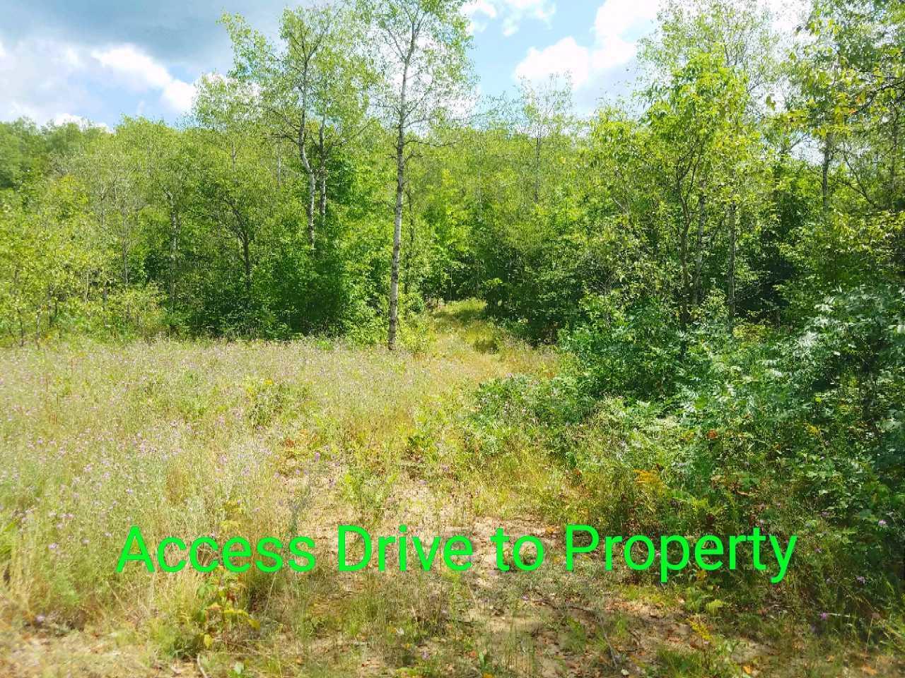 Gas Line Road Frederic, MI 49733 - Photo 23 of 32 Gallery Image 23