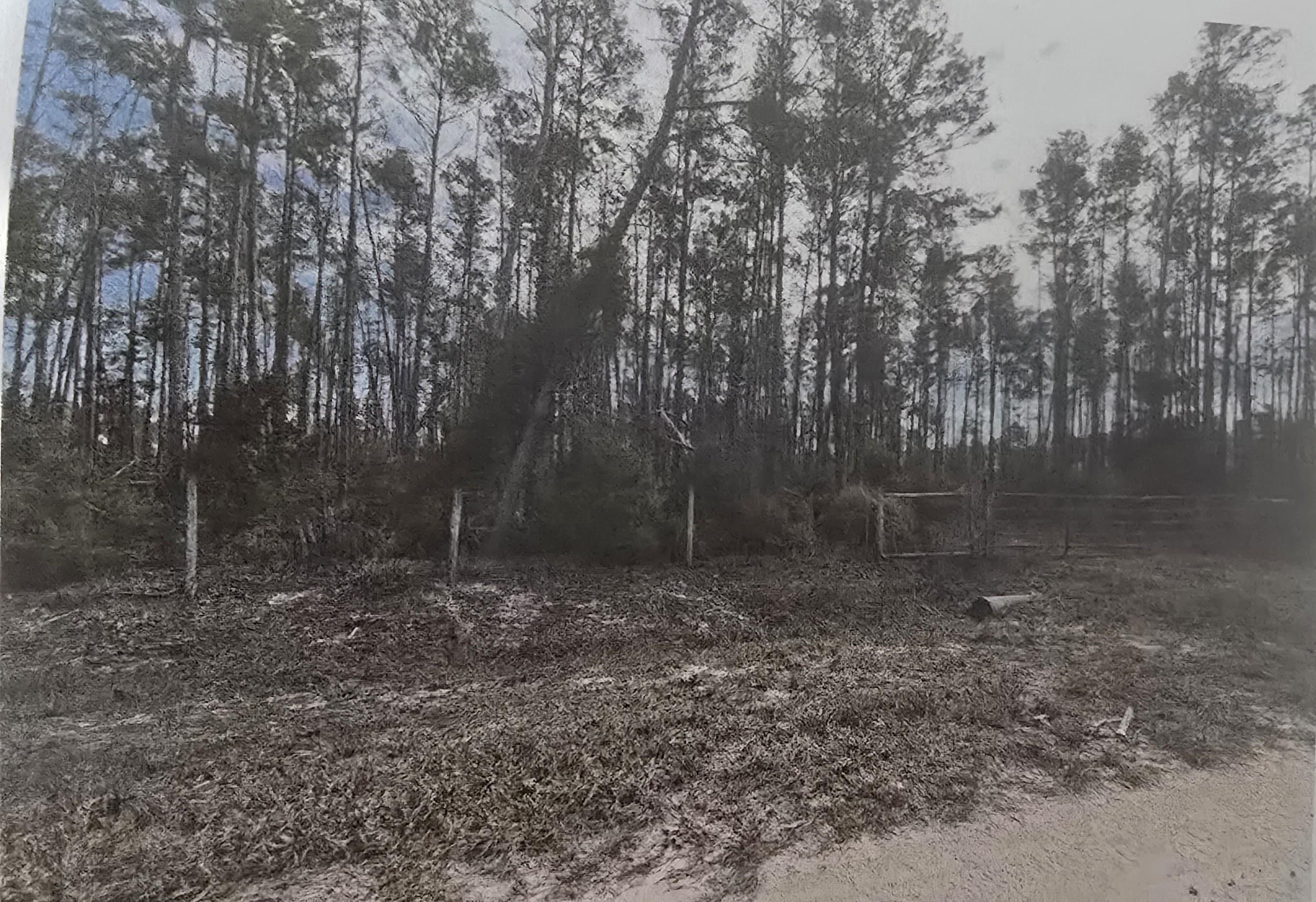 13845 North Gulf Manor Perry, FL 32348 - Photo 8 of 8