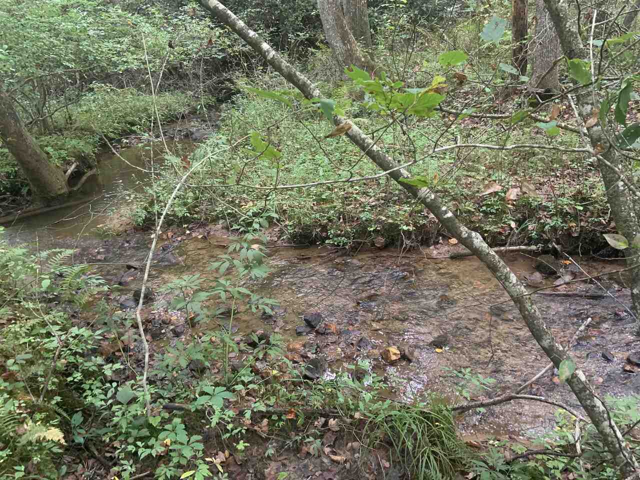 0 Chestnut Gap Lane, Unit 219 Blue Ridge, GA 30513 - Photo 1 of 1