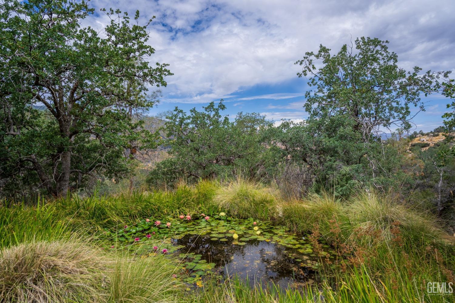 Undisclosed Address Caliente, CA 93518 - Photo 26 of 38 a view of a garden with a lake