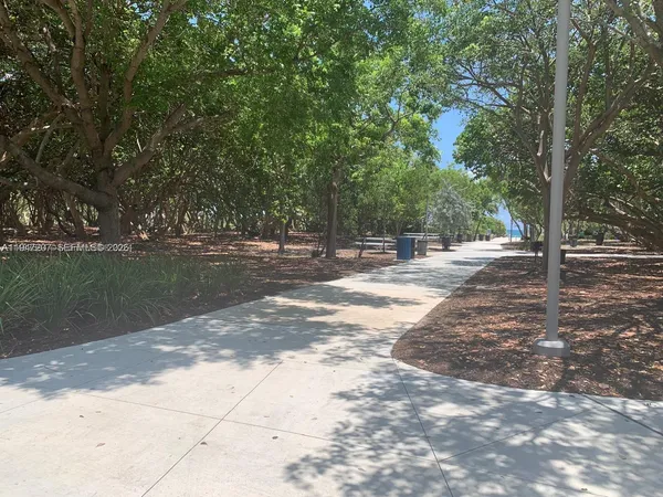 a view of a yard with a tree