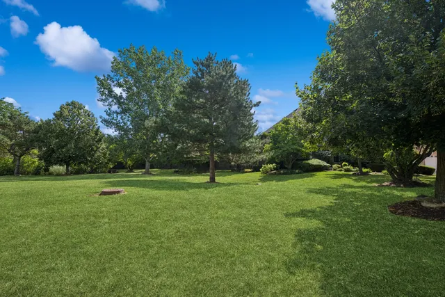 a view of outdoor space and yard