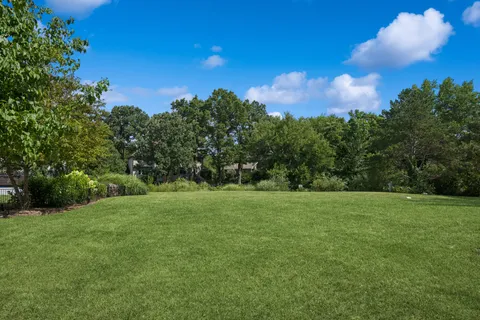 a view of a big yard with a large tree and a table and chairs
