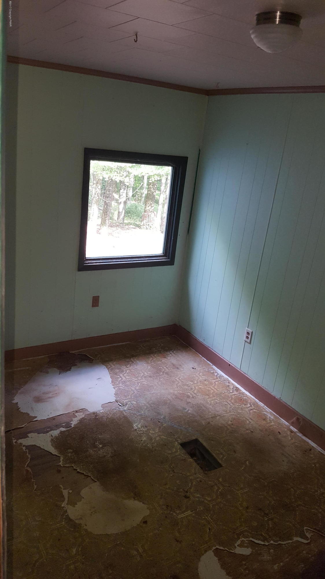 250 Nevin Road Newfoundland, PA 18445 - Photo 18 of 32 a view of room with window