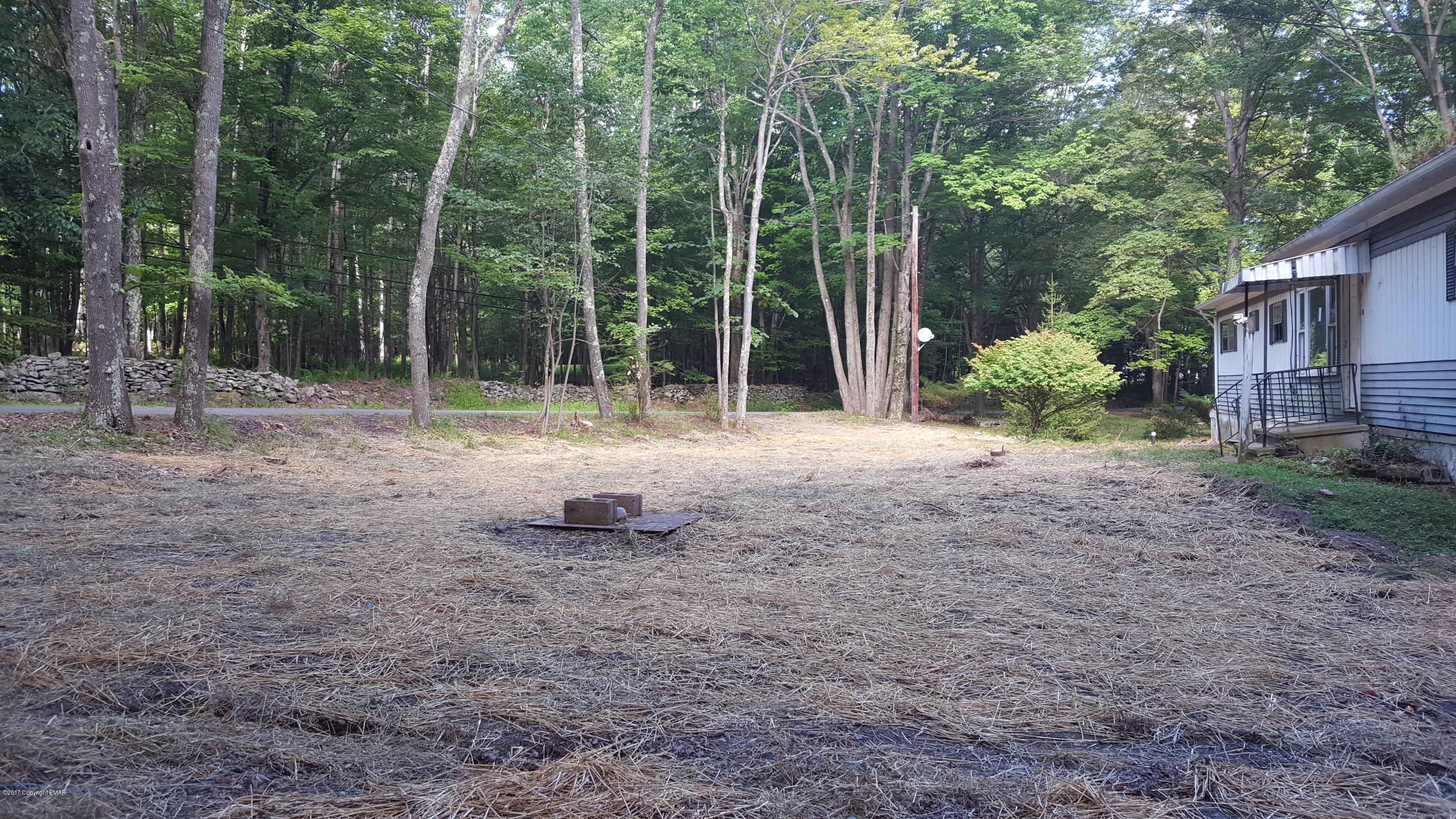 250 Nevin Road Newfoundland, PA 18445 - Photo 4 of 32 a backyard of a house with lots of green space