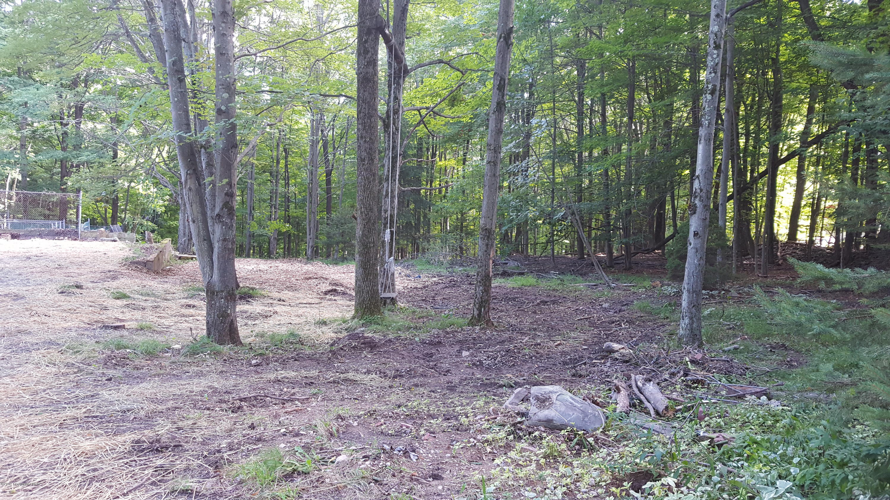 250 Nevin Road Newfoundland, PA 18445 - Photo 9 of 32 a view of a forest that has large trees
